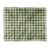 Outlet 🎉 Deny Designs Colour Poems Gingham Pattern Moss Throw Blanket 🤩 -Deny Designs Online Store 3100b7361bc742048d59a8e31946d32e 1080x